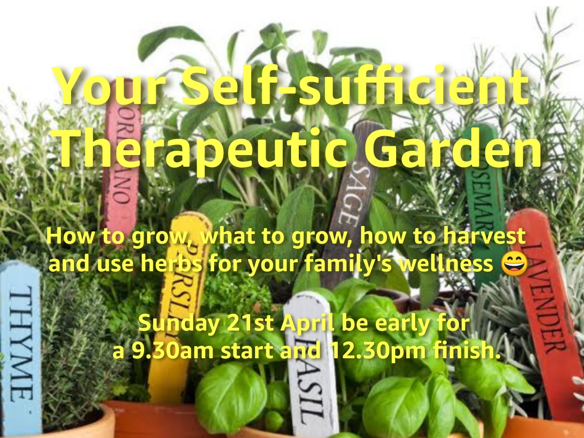 Your Self Sufficient Theraputic Garden-Downstairs Meeting Room